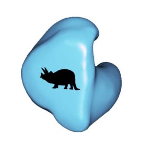 D4-TRICERATOPS